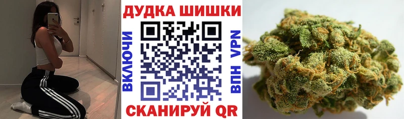 hydra Венёв Бошки марихуана марихуана